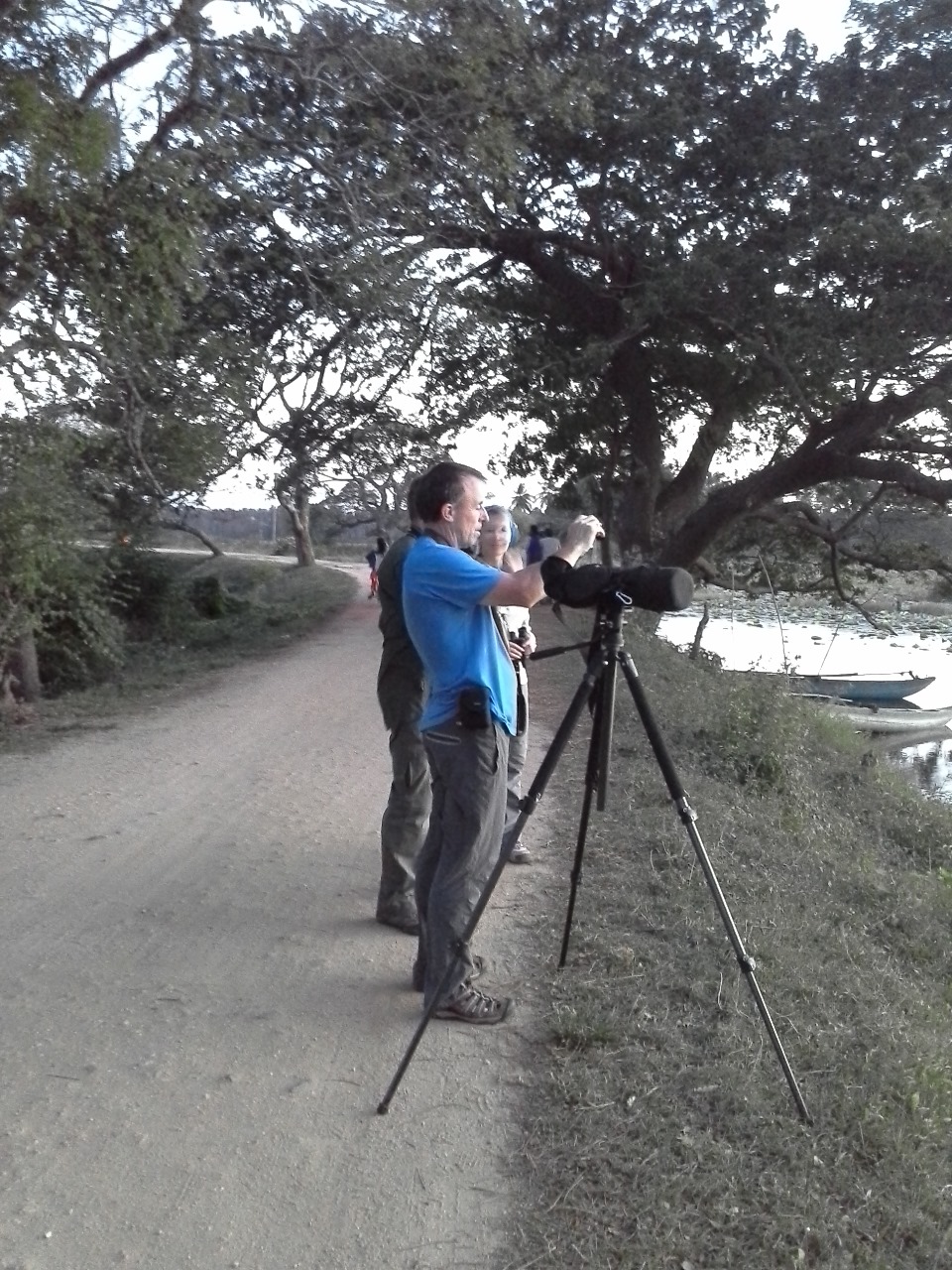 Endemic bird species